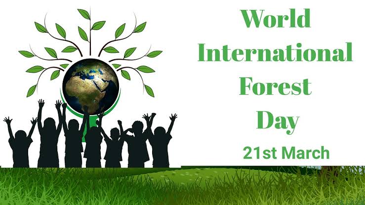 The Importance of Forests: Celebrating International Forest Day and ...