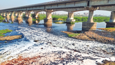 The Critical Need to Restore and Protect the Sabarmati River