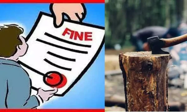 Tree Cutting Penalties and Jail Duration in India.